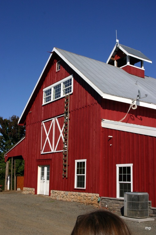 the hundred year old barn--where the 'barn bites' are filmed and Matt also has an office